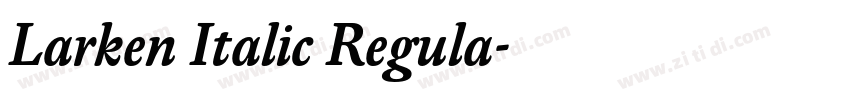 Larken Italic Regula字体转换